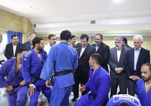 بسیج